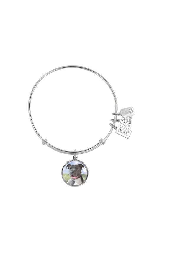 Wind And Fire Pet Collection Expandable Bangle With Pit Bull Terrier Photo Charm