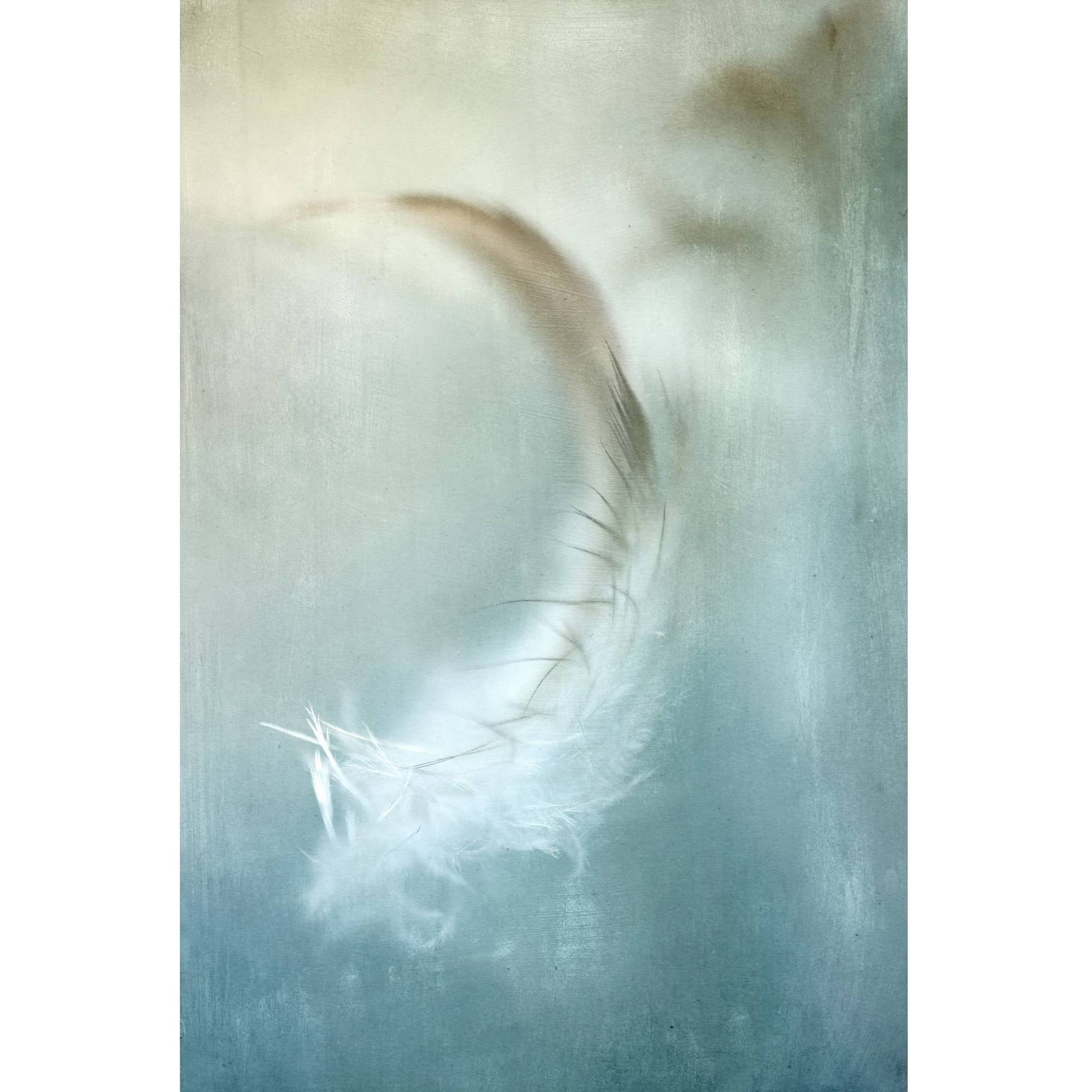 "Wind Blown Feather" Painting Print on Wrapped Canvas