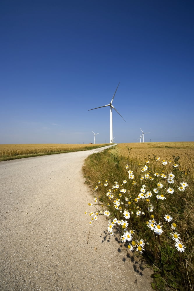 Wind Turbine Humberside England Canvas Art - John Short Design Pics (11 x 17)