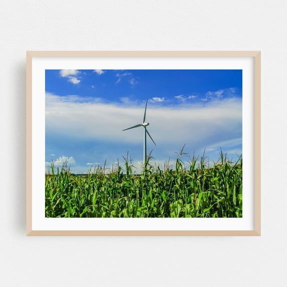 Wind Turbine in Cornfield - New York Photography Rural Nature Landscape Farm Countryside Oak Framed Wall Art Print 9 x 12 inches