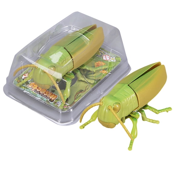 Wind Up Interactive Toy Realistic Fluttering Insect Figure for Kids Educational Science Learning Nature Discovery and Party Favors