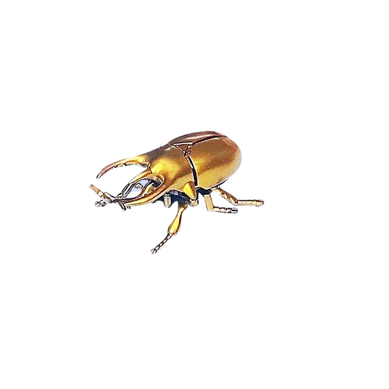 Wind-Up Moving Beetle Toy | Realistic Simulation Insect Model ...