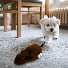 Wind-Up Plush Mouse Toy for Cats Dogs Clockwork Moving Rat with Wiggling Tail Interactive Pet Plaything for Indoor Entertainment 6.3 Inch