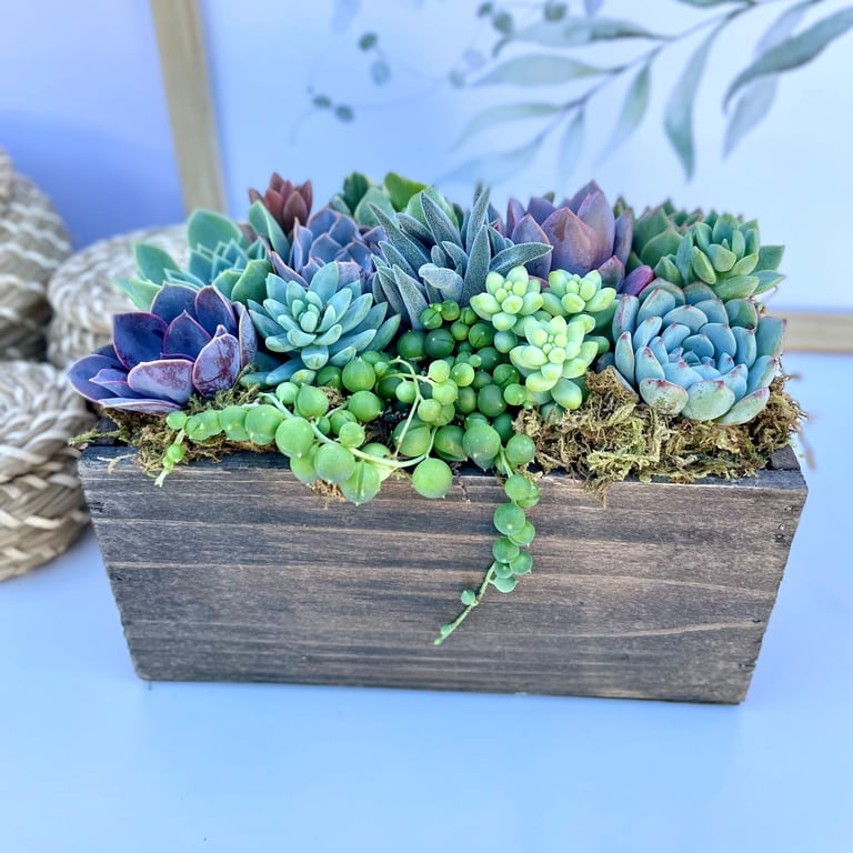 square ceramic plant pots Cube Pot With Drainage