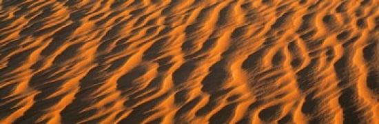 Wind blown Sand TX USA Canvas Art - Panoramic Images (36 x 12)