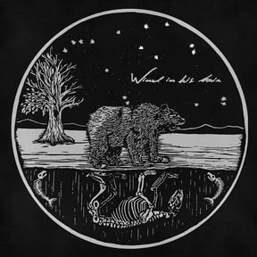 Wind in His Hair - Future Primitives - Music & Performance - Vinyl
