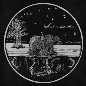 Wind in His Hair - Future Primitives - Music & Performance - Vinyl