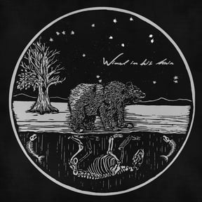 Wind in His Hair - Future Primitives - Music & Performance - Vinyl