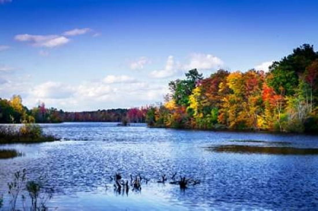 Wind on the Lake Canvas Art - Alan Hausenflock (20 x 28)