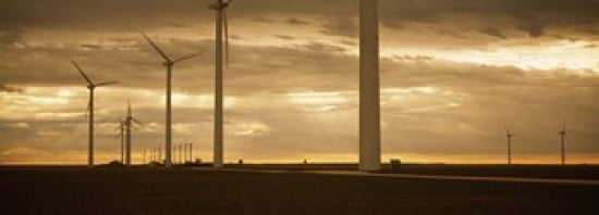 Wind turbines in a field Amarillo Texas USA Canvas Art - Panoramic Images (36 x 13)