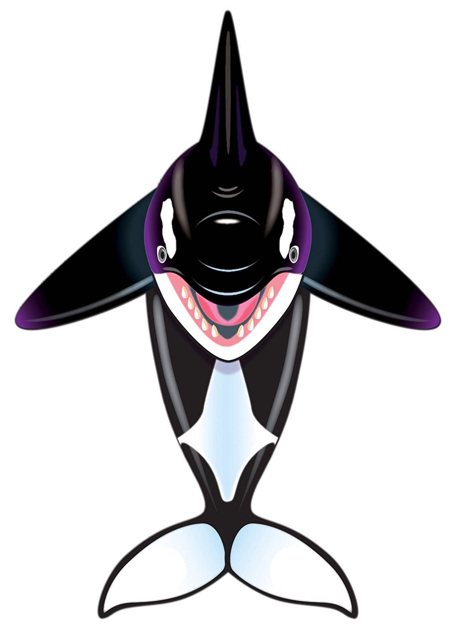 WindNSun Sealife Orca Kite DLX Ripstop Nylon Killer Whale Kite 57 Inches Tall
