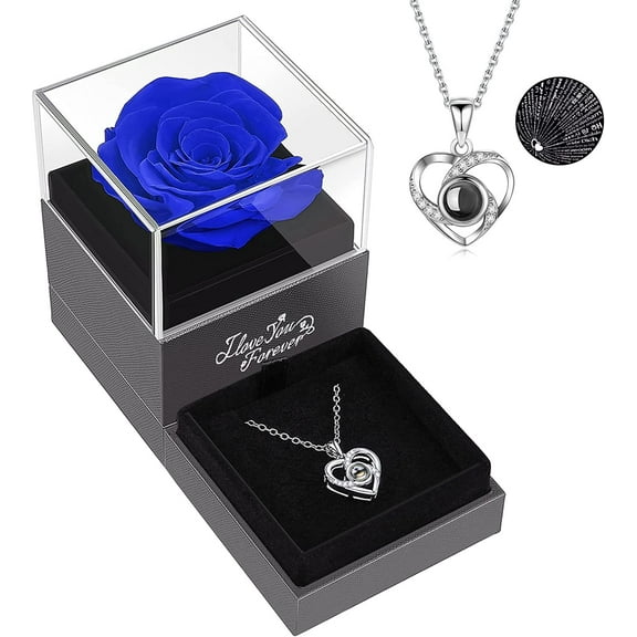 WindamazingStory Preserved Real Rose Gift Set with Silver "I Love You" Necklace, C-Blue Rose (Women's)