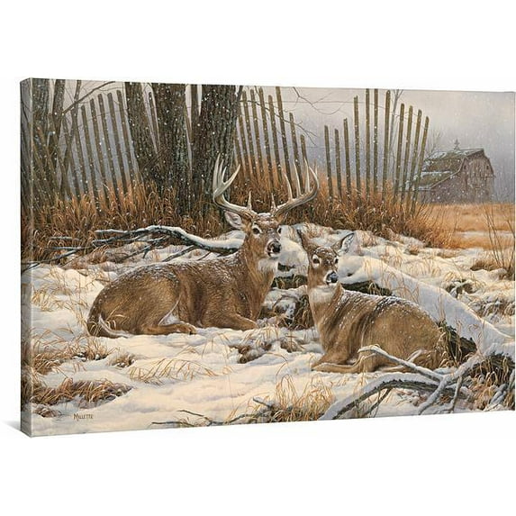 Windbreak Refuge—Whitetail Deer