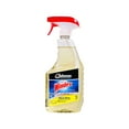 thumbnail image 1 of Windex All Purpose Multi Surface Discinfectant Cleaner 32oz. (Each), 1 of 4