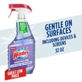 thumbnail image 1 of Windex® Ammonia-Free Glass Window Cleaner, Spring Cleaning Supplies, Crystal Rain Scent, Spray Bottle, 32 fl oz, 1 of 15