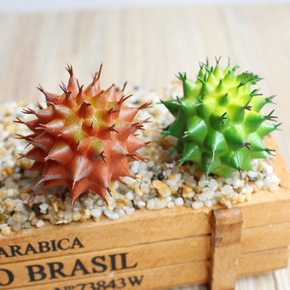 Windfall Artificial Succulents 1 Pack Premium Unpotted Succulent
