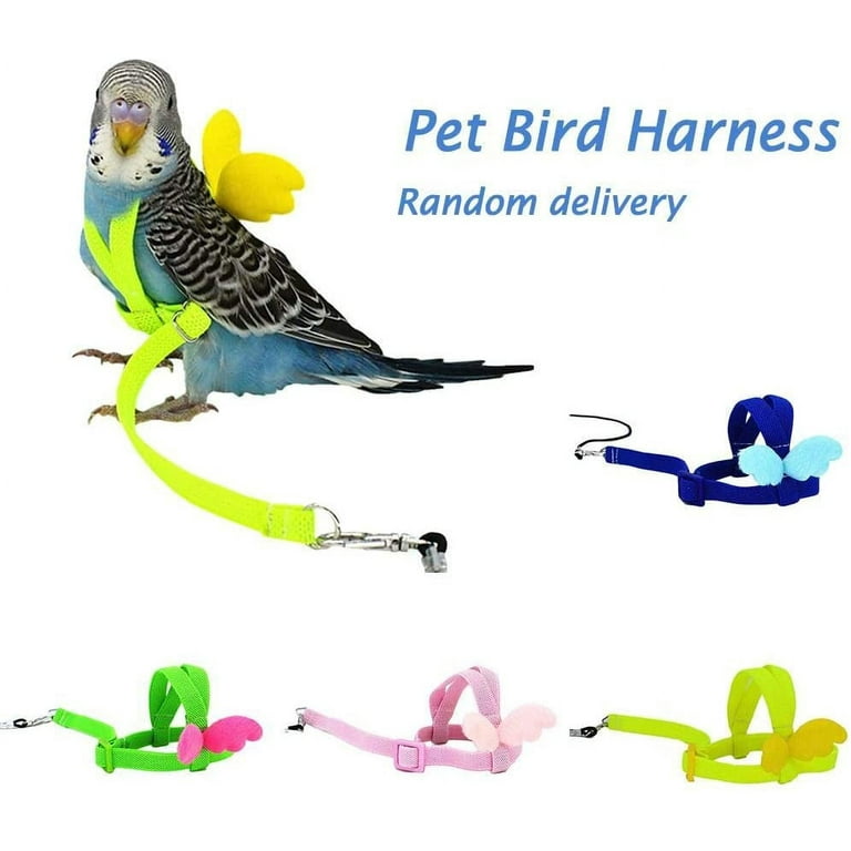 Pet bird harness and leash best sale