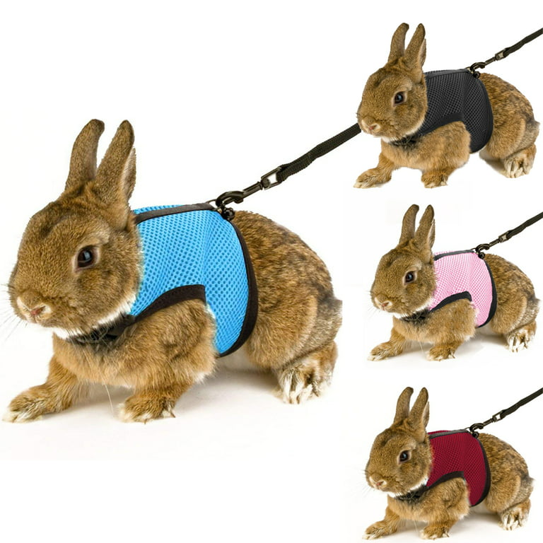 Windfall Bunny Rabbit Harness with Stretchy Leash Cute Adjustable Buckle  Breathable Mesh Vest for Kitten Small Pets Walking 