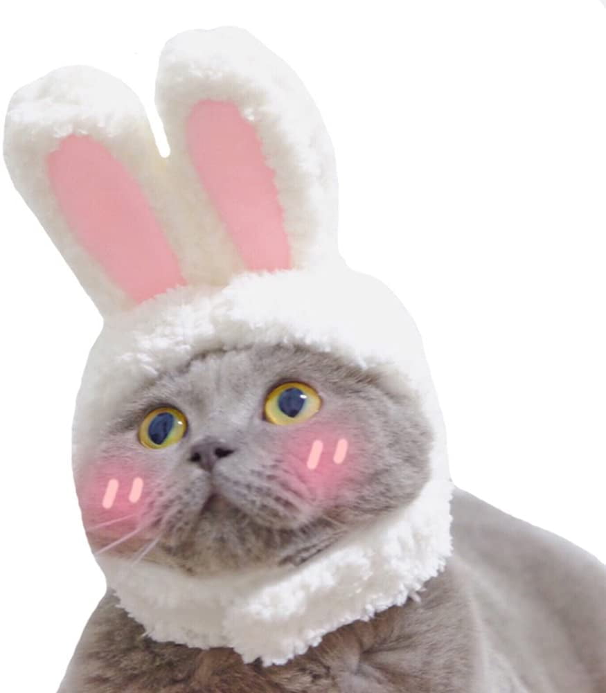 Windfall Cute Costume Bunny Rabbit Hat with Ears for Cats  Small Dogs  Party Costume Halloween Easter Accessory Headwear