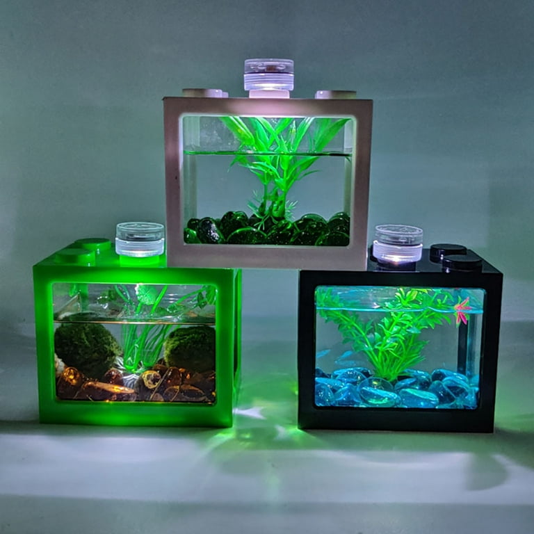 Windfall LED Display Fish Tank Small Desktop Aquarium Starter Kit with Lid for Snail Tropical Fish, Black