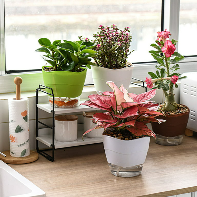 https://i5.walmartimages.com/seo/Windfall-Self-Watering-Planter-African-Violet-Pots-Plastic-White-Flower-Plant-Pot-Wick-Rope-All-House-Plants-Flowers-Herbs-PP-Partition-Layer-Detacha_859ea618-f5c6-4d98-ad8d-ebf31bd06e45.6c8894fee3f3f034b720e3a02c44d7f3.jpeg?odnHeight=768&odnWidth=768&odnBg=FFFFFF