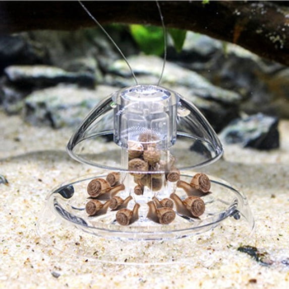 Windfall Transparent Plastic Snail Trap Luring Catcher Aquarium Fish Tank Plant Protector
