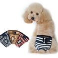 thumbnail image 1 of Windfall Washable Female Dog Diapers, Reusable Highly Absorbent Doggie Diapers Wraps Durable Dog Diaper Cover, 1 of 6