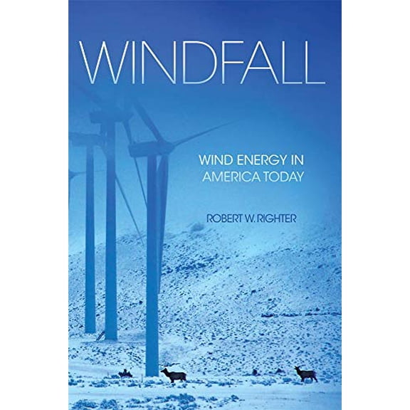 Pre-Owned Windfall : Wind Energy in America Today (Edition 1) (Paperback)