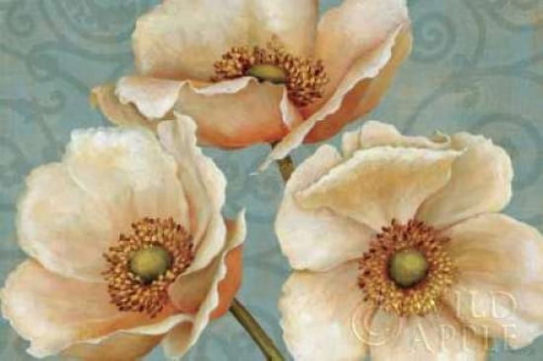 Windflower Canvas Art - Daphne Brissonnet (24 x 36)