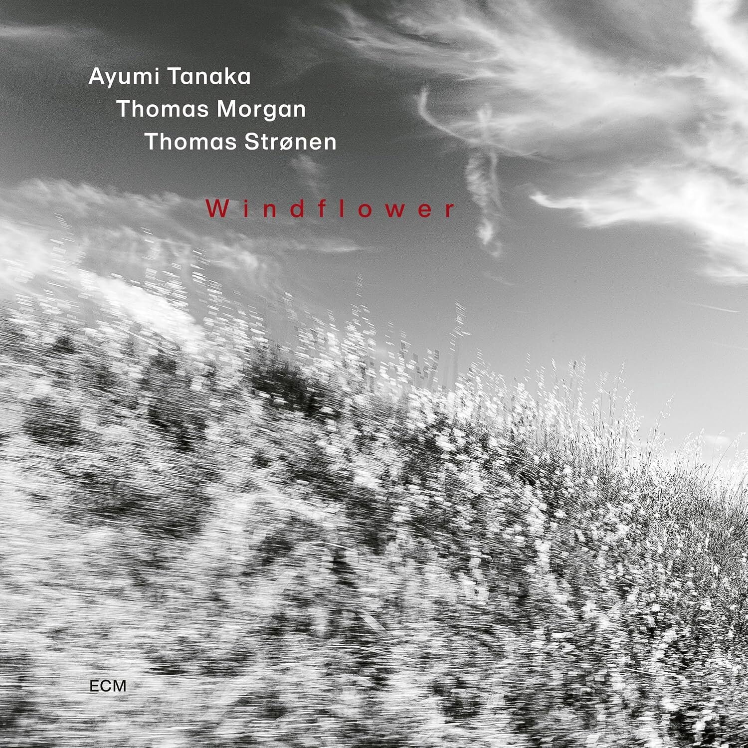 Ayumi Tanaka - Windflower [COMPACT DISCS]
