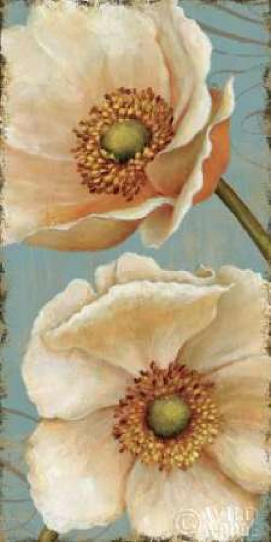 Windflower I Canvas Art - Daphne Brissonnet (10 x 20)