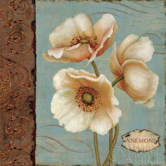 Windflower I Canvas Art - Daphne Brissonnet (24 x 24)