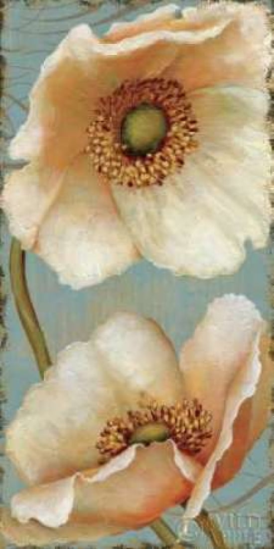 Windflower II Canvas Art - Daphne Brissonnet (10 x 20)