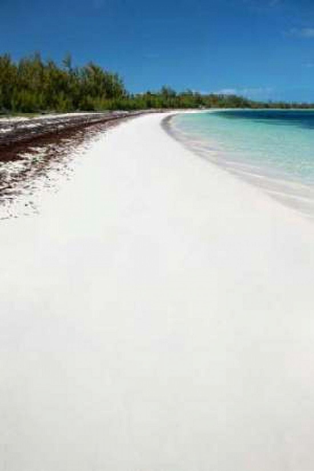 Winding Bay Beach II Canvas Art - Larry Malvin (12 x 18)