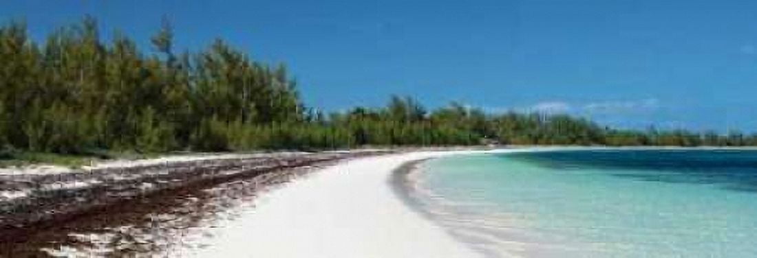 Winding Bay Beach II Panel Canvas Art - Larry Malvin (8 x 24)