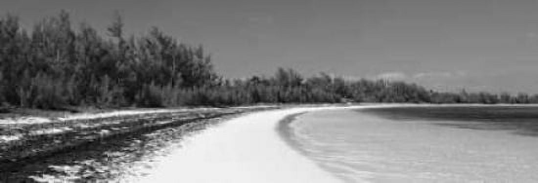 Winding Bay II BW Panel Canvas Art - Larry Malvin (12 x 36)