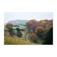 thumbnail image 1 of Winding Farms - Virginia Photography Unframed Wall Art Print 12 x 18 inches, 1 of 7