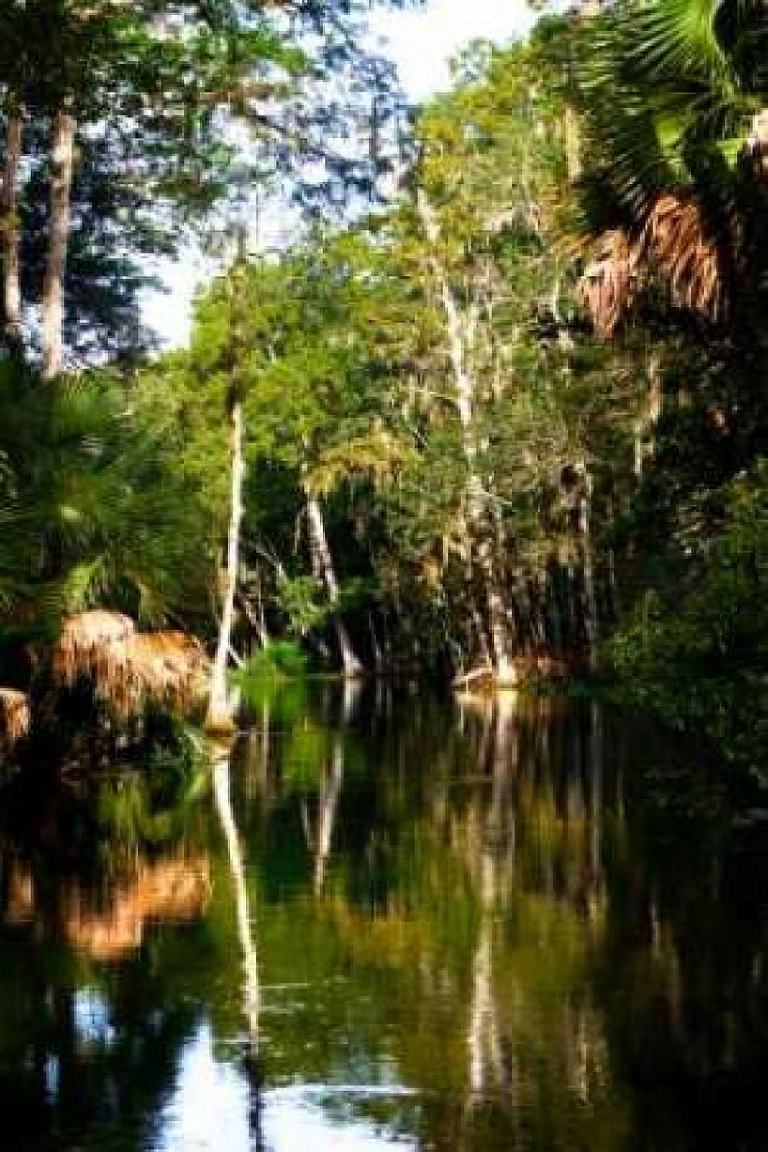 Winding River I Canvas Art - Alan Hausenflock (20 x 28)