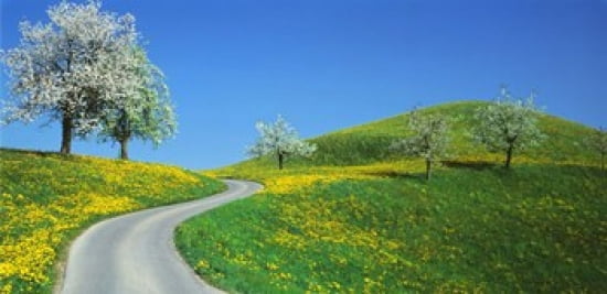 Winding Road Canton Switzerland Canvas Art - Panoramic Images (24 x 12)