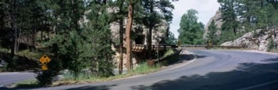 Winding Road SD Canvas Art - Panoramic Images (37 x 12)