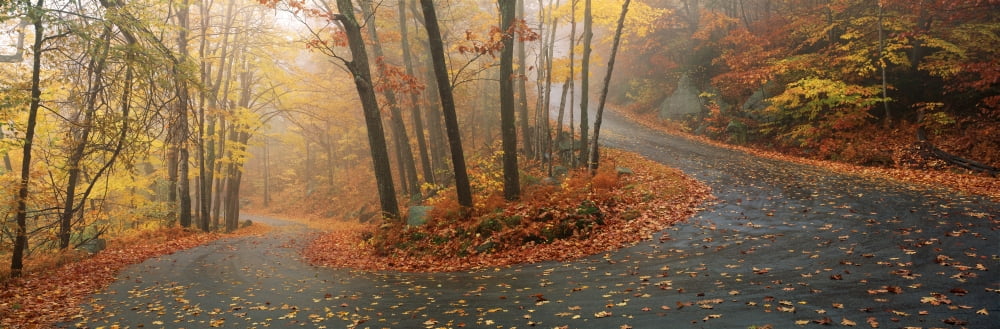 Winding Road Through Mountainside In Autumn Monadnock Mountain New Hampshire USA Canvas Art - Panoramic Images (27 x 9)