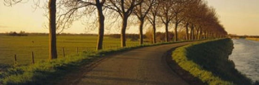 Winding Road Trees Oudendijk Netherlands Canvas Art - Panoramic Images (18 x 6)