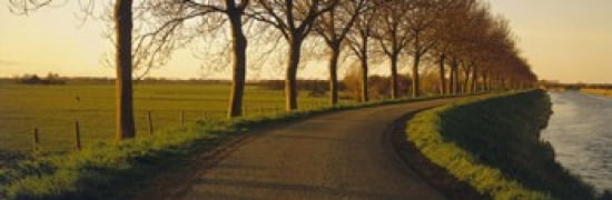 Winding Road Trees Oudendijk Netherlands Canvas Art - Panoramic Images (36 x 12)