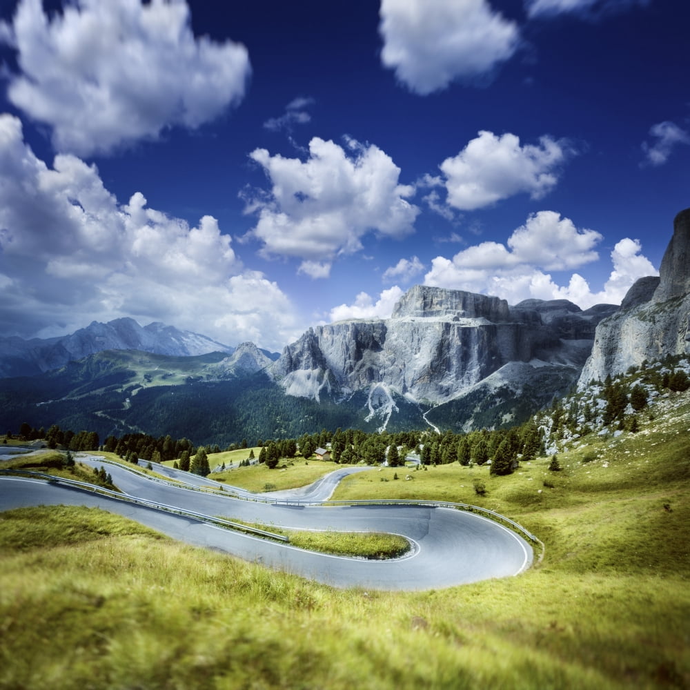 Winding road in a forest of Dolomite Alps Northern Italy Canvas Art - Evgeny KuklevStocktrek Images (29 x 29)