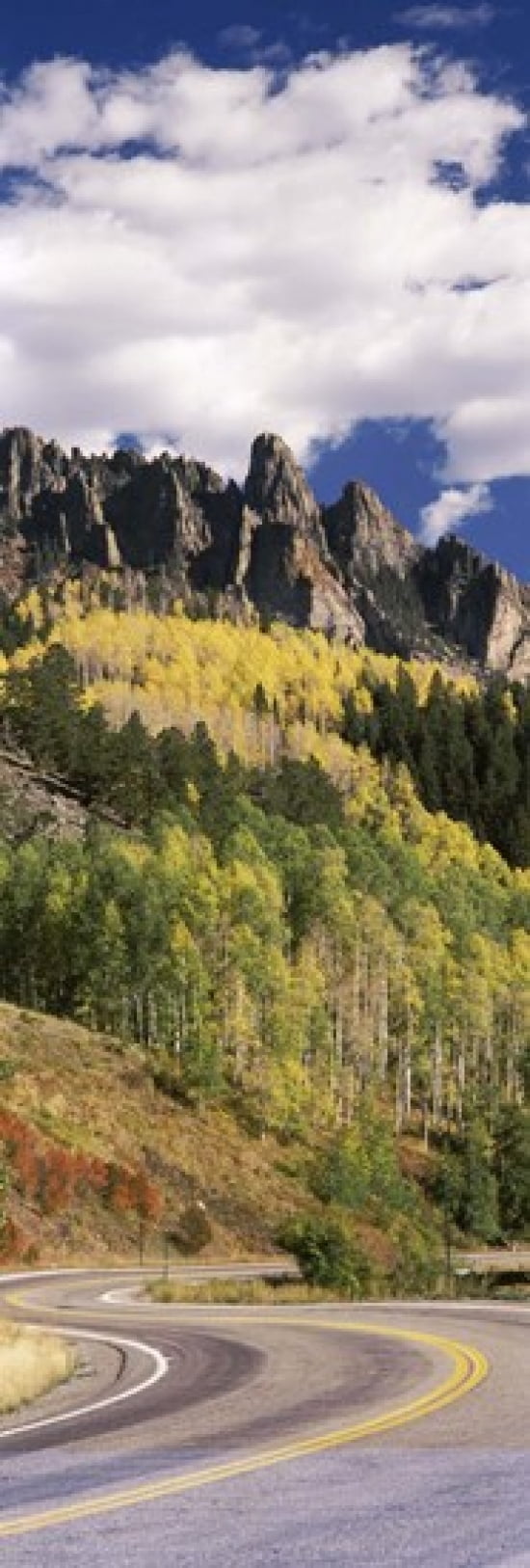 Winding road passing through mountains Jackson Guard Station Ridgway Colorado USA Canvas Art - Panoramic Images (36 x 12)