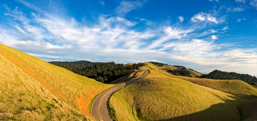 Winding road through hills California USA Canvas Art - Panoramic Images (12 x 24)