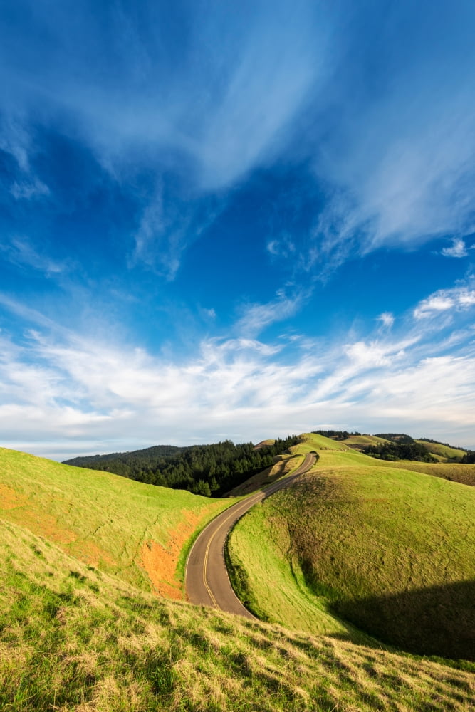 Winding road through hills California USA Canvas Art - Panoramic Images (18 x 24)