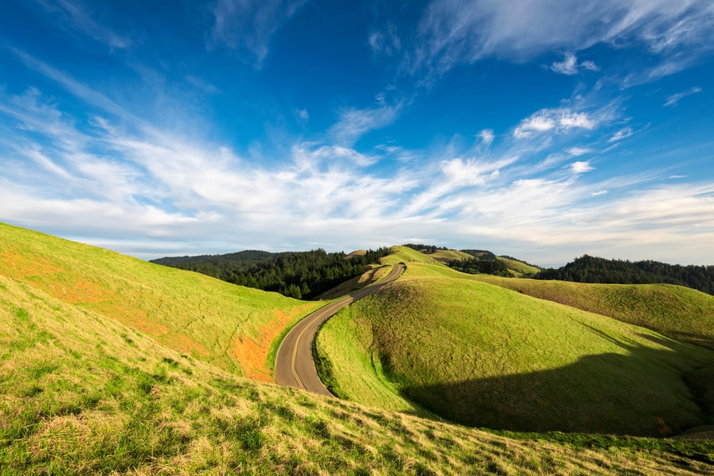 Winding road through hills California USA Canvas Art - Panoramic Images (24 x 36)