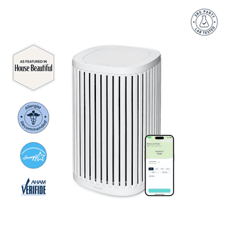 cigarette smoke purifier walmart Smoke Eater Air Purifiers in Air Purifiers | Other