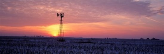 Windmill Cornfield Edgar County IL USA Canvas Art - Panoramic Images (36 x 12)